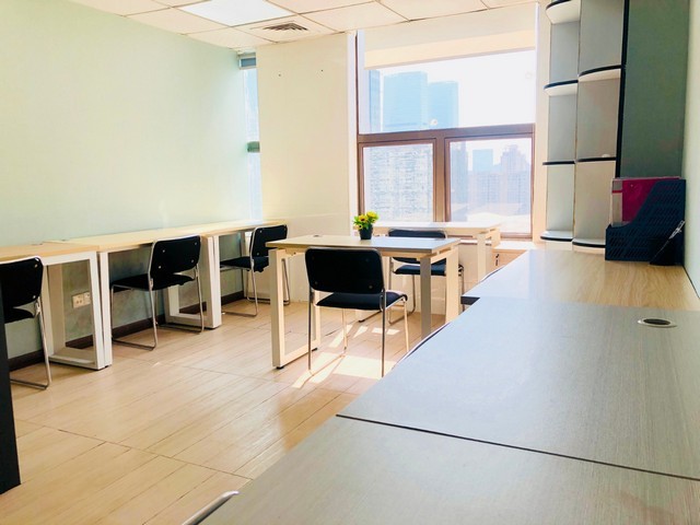 深圳环保鹅蛋托怎么卖