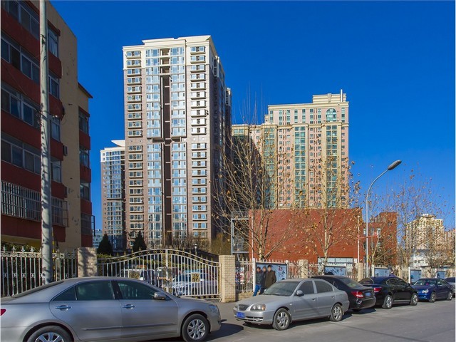 四川不锈钢转子泵功能